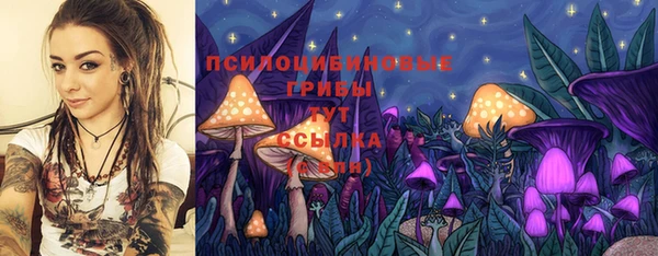 дурь Горняк